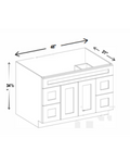 SW-VSD48-4DR — SW-VSD48-4DR product image